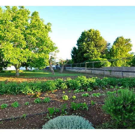 Li Catauri Santa Cesarea Terme